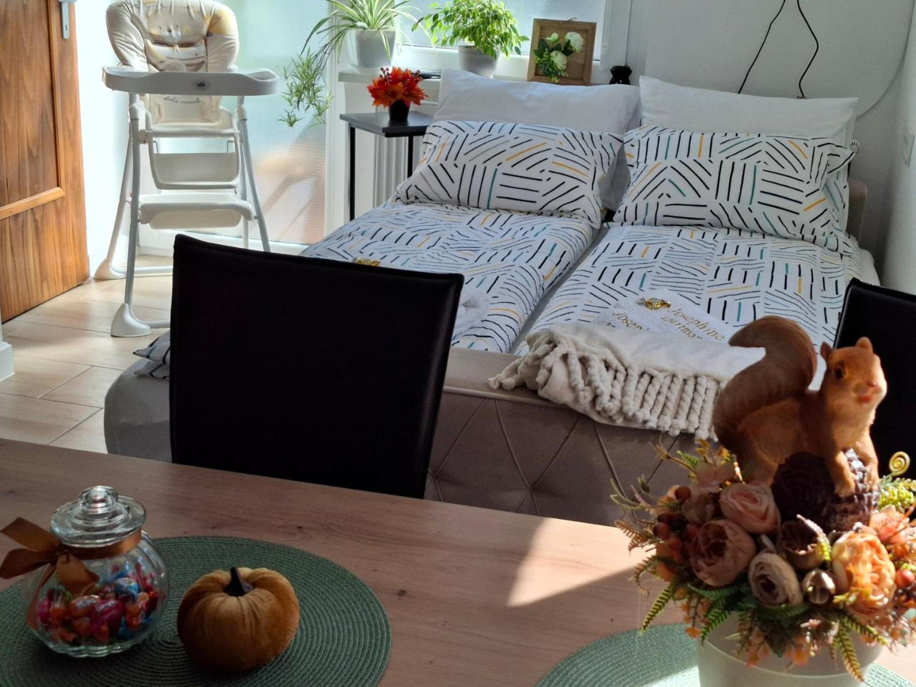 Josephine Apartment Subotica Dış mekan fotoğraf